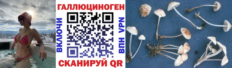 Галлюциногенные грибы MAGIC MUSHROOMS  Купить где  Сычёвка 